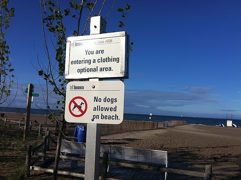 hanlans point beach toronto