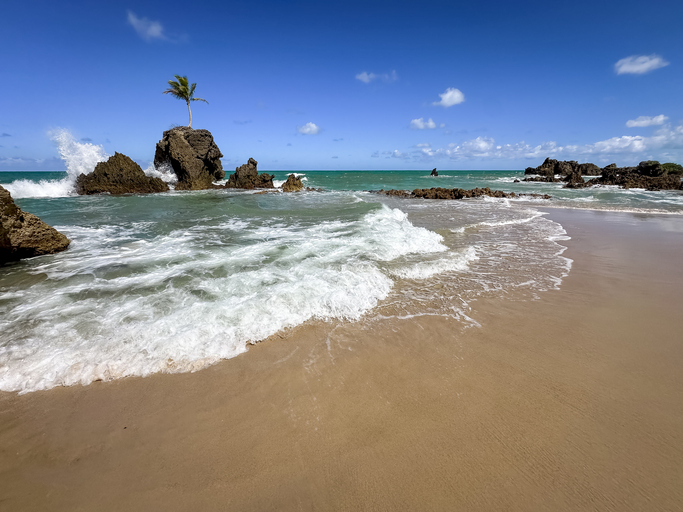 tambaba beach, naturist beach, in conde, near joão pessoa, paraiba, brazil.