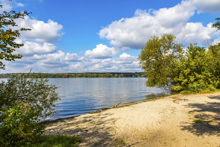 autumn view of wannsee lake in berlin, germany